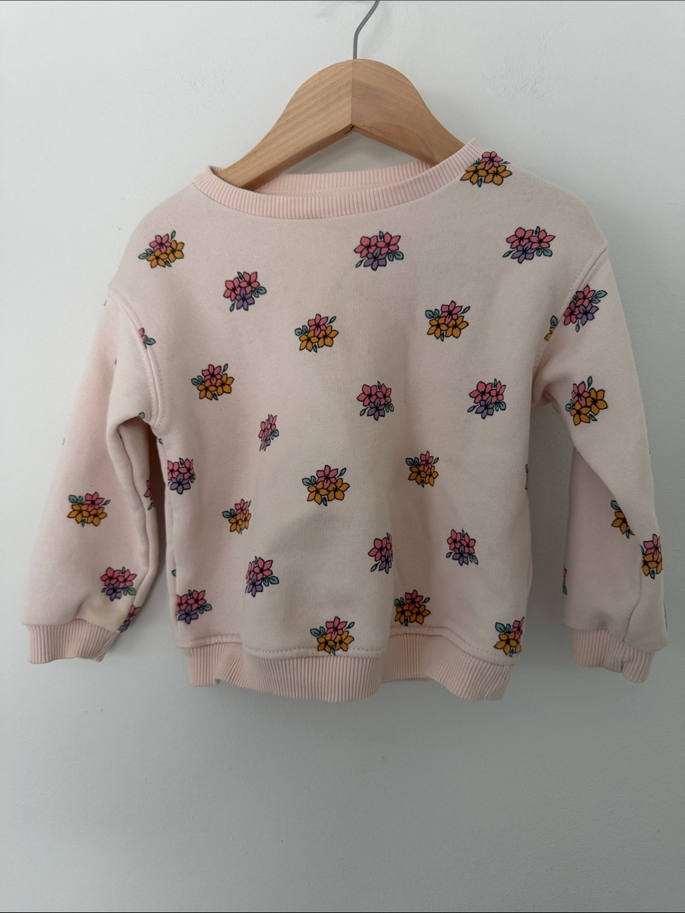 Zara Girls Adorable Pink Floral Cotton Crewneck Sweatshirt 12-18 Months